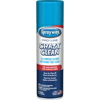 Nettoyant tout usage Pro Line Crazy Clean, 19 oz., Canette a&eacute;rosol We Share Industrial Supply