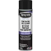 Nettoyant p&eacute;n&eacute;trant pour bobines Pro Line &agrave; action moussante diff&eacute;r&eacute;e, 19 oz., Canette a&eacute;rosol We Share Industrial Supply