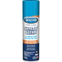 Nettoyant tout usage Pro Line Crazy Clean, 19 oz., Canette a&eacute;rosol We Share Industrial Supply