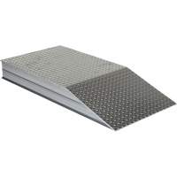 Rampes de nivellement de gros calibre We Share Industrial Supply