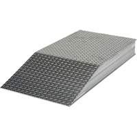 Rampes de nivellement de gros calibre We Share Industrial Supply