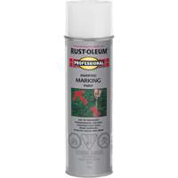 Inverted Marking Paint Spray, 426 g, Aerosol Can We Share Industrial Supply