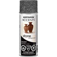 Accents&reg; Stone Creations Spray Paint, Aerosol Can, Grey Stone We Share Industrial Supply