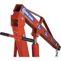 Grues d'atelier escamotables de 2 tonnes, Capacit&eacute; 4000 lb (2 tonnes) We Share Industrial Supply