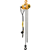 Budgit&reg; Air Chain Hoists We Share Industrial Supply