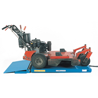 Rampe d'acc&egrave;s pour chariot LoProfile We Share Industrial Supply
