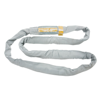 Polyester Round Sling, Grey, 4" W x 6' L, 32000 lbs. Vertical Load We Share Industrial Supply