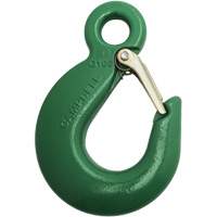 Crochet de levage We Share Industrial Supply