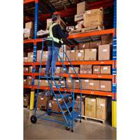 CSA-Certified Rolling Step Ladder, 5 Steps, 22" Step Width, 46" Platform Height, Steel We Share Industrial Supply