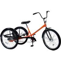 Tricycles de déplacement