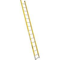 Single Section Straight Ladder - 6100 Series, 14', Fibreglass, 375 lbs., CSA Grade 1AA We Share Industrial Supply