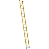 Single Section Straight Ladder - 6100 Series, 16', Fibreglass, 375 lbs., CSA Grade 1AA We Share Industrial Supply