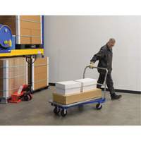 Platform Cart, 48" L x 24" W, 1500 lbs. Capacity, Mold-on Rubber Casters We Share Industrial Supply