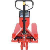 Pallet Truck, 48" L x 27.5" W, 5000 lbs. Cap. We Share Industrial Supply