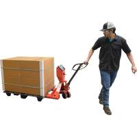 Pallet Truck, 48" L x 27.5" W, 5000 lbs. Cap. We Share Industrial Supply