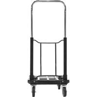 Fold-Up Platform Truck, Stainless Steel, 300 lbs., 28" L x 16" W, 33-1/2" High We Share Industrial Supply
