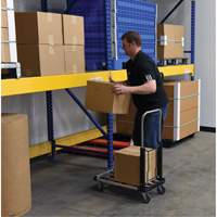 Fold-Up Platform Truck, Stainless Steel, 300 lbs., 28" L x 16" W, 33-1/2" High We Share Industrial Supply