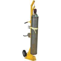 Portable Cylinder Lifter We Share Industrial Supply