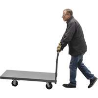 Platform Truck, 48" L x 24" W, 2000 lbs. Capacity, Rubber Casters We Share Industrial Supply