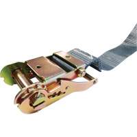 Tendeur d'arrimage &agrave; cliquet, Syst&egrave;me E-Track, 2" , 16' , Charge d'utilisation max. 1333 lb (605 kg) We Share Industrial Supply