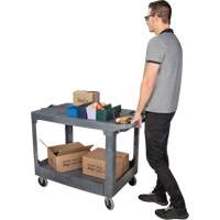 Chariot utilitaire pour l'entretien avec tablette plate, 2 tiers, 25-1/4" x 32-1/4" x 44", Capacit&eacute; 550 lb We Share Industrial Supply