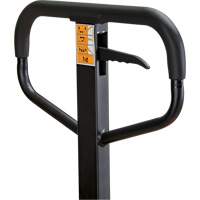 Transpalette manuel, Acier, 48" lo x 21" la, Capacit&eacute; 5500 lb We Share Industrial Supply