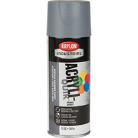 Laque industrielle Acryli-Quik, Gris, Tr&egrave;s mat, 12 oz, Canette a&eacute;rosol We Share Industrial Supply