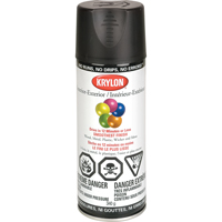 Laque industrielle Acryli-Quik, Noir, Semi-mat, 12 oz, Canette a&eacute;rosol We Share Industrial Supply