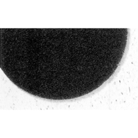 7300 Pro-Strip Pads, 17", Stripping, Black We Share Industrial Supply