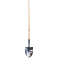 Pelle ronde Pro, Lame Acier durci, Bois, Manche Droit We Share Industrial Supply
