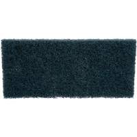 Scrubber Pad, 10" L x 4-5/8" W We Share Industrial Supply