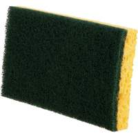 Utility Sponges, Cellulose, 6" W x 3-1/2" L We Share Industrial Supply
