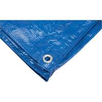 B&acirc;che, Standard, Bleu, 7' x 5' x 4 mils We Share Industrial Supply