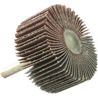 Mounted Flapwheel, 60 Grit, 2" x 1" x 1/4" We Share Industrial Supply