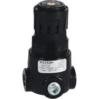 R&eacute;gulateur miniature R03 Wilkerson, 1/8" NPT, PSI max. de 300 psi, Standard We Share Industrial Supply