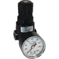R&eacute;gulateur miniature R04 Wilkerson, 1/4" NPT, PSI max. de 300 psi, Standard We Share Industrial Supply