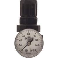 R&eacute;gulateur miniature de s&eacute;rie 1, 1/8" NPT, PSI max. de 100 psi, Standard We Share Industrial Supply