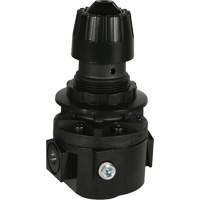 R&eacute;gulateur Wilkerson R26, 3/8" NPT, PSI max. de 300 psi, Standard We Share Industrial Supply