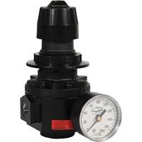 R&eacute;gulateur Wilkerson R26, 1/2" NPT, PSI max. de 300 psi, Standard We Share Industrial Supply