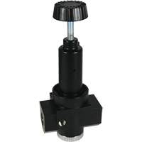 R&eacute;gulateur &agrave; d&eacute;bit &eacute;lev&eacute; R30 Wilkerson, 3/4" NPT, PSI max. de 300 psi, Standard We Share Industrial Supply