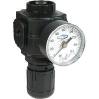 R&eacute;gulateur compact de s&eacute;rie 1, 1/2" NPT, PSI max. de 150 psi, Standard We Share Industrial Supply