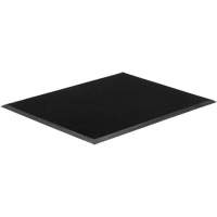 Tapis Gritstop Fingermat, Caoutchouc, Grattoir Type, Motif Textur&eacute;, 2' x 2-2/3', Noir We Share Industrial Supply