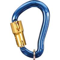 Mousqueton Nano-Lok, Aluminium, Capacit&eacute; 3600 lb We Share Industrial Supply