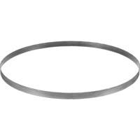 Cordless Band Saw Blade, Bi-Metal, 32-7/8" L x 0.02" Thick, 14-18 TPI We Share Industrial Supply