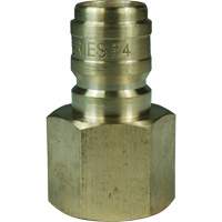 Bouchon d'interconnecteur &agrave; passage direct DQC de s&eacute;rie E, Laiton, 3/4", NPTF femelle, 1700 PSI We Share Industrial Supply