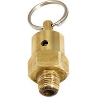 Soupape de rel&acirc;chement de pression Viton We Share Industrial Supply
