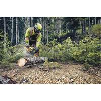 Flexvolt&reg; Cordless Chainsaw, 16", Battery Powered, 60 V We Share Industrial Supply