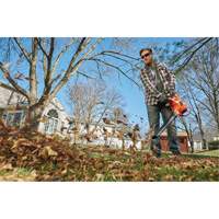 3-in-1 VacPack Leaf Blower/Vacuum/Mulcher, 250 MPH Output, Electric We Share Industrial Supply