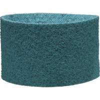 Scotch-Brite Surface Conditioning Belt We Share Industrial Supply