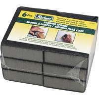 Éponges abrasives  